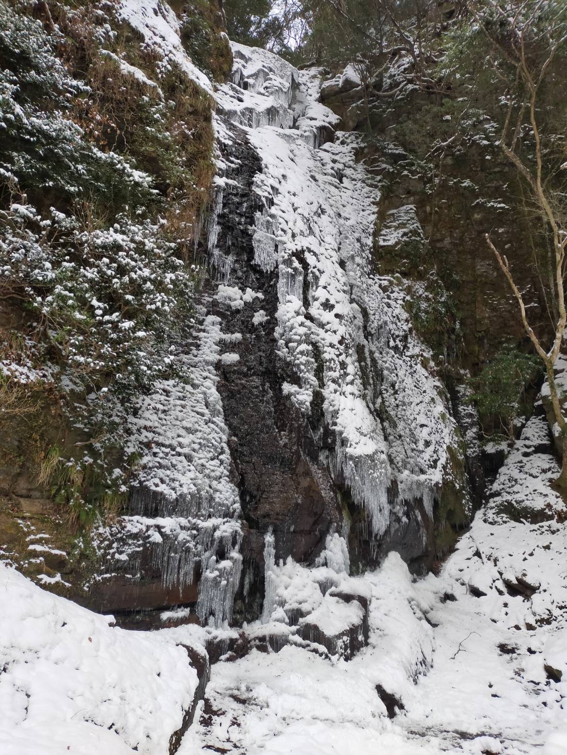 2025年氷瀑情報 | 忍者修行の里 赤目四十八滝