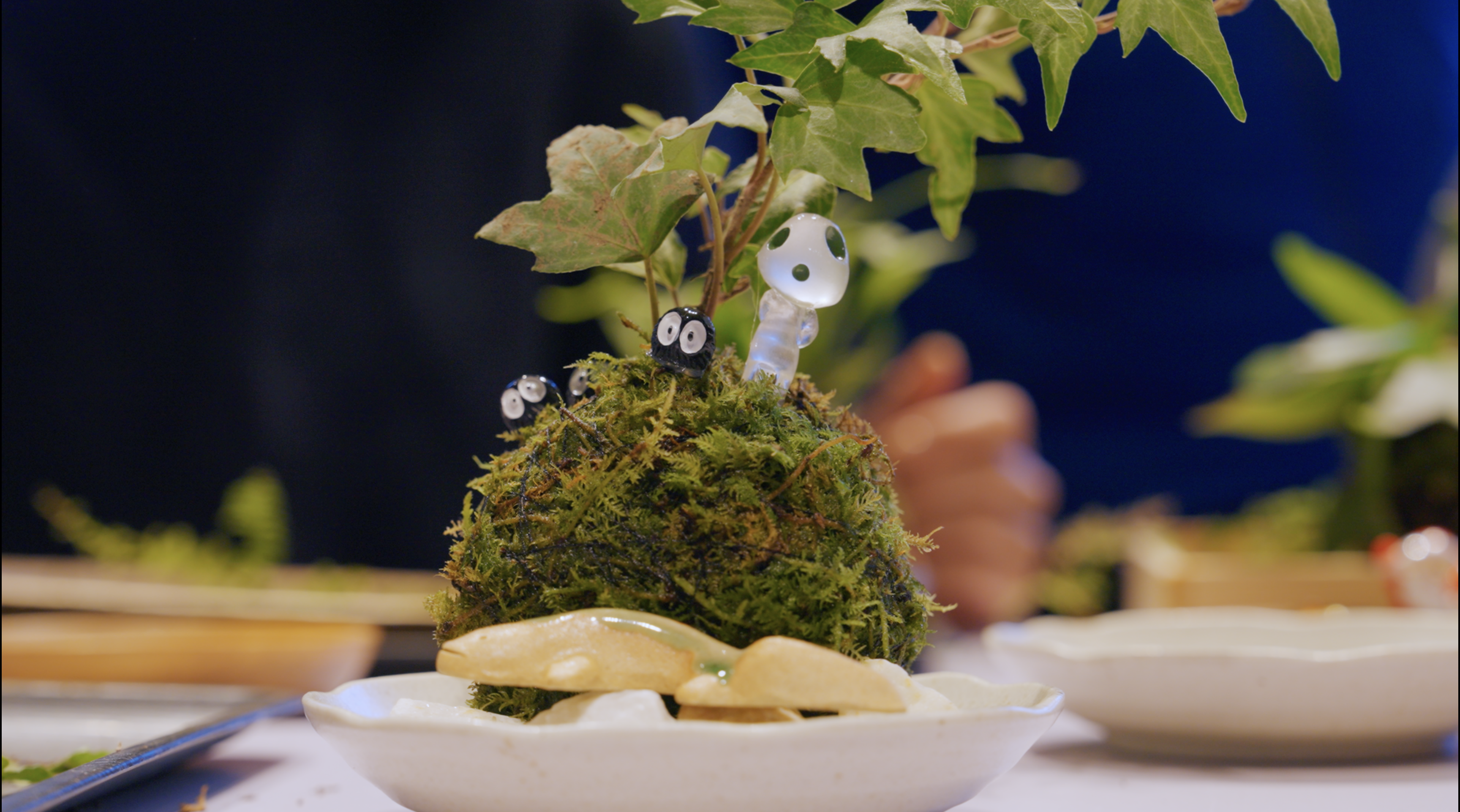 苔さんぽand苔玉づくり体験 | 忍者修行の里 赤目四十八滝